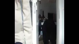 Deux chiennes gâtées ...